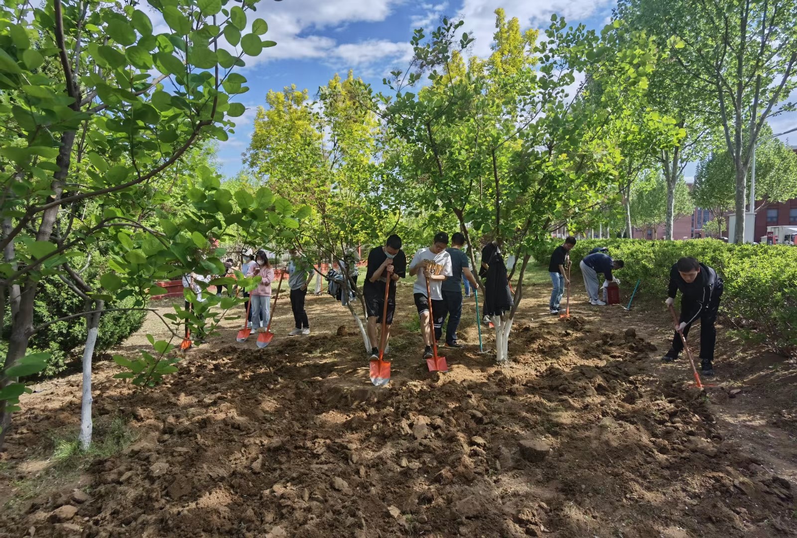 人工智能学院开展“五一”校园花卉种植活动