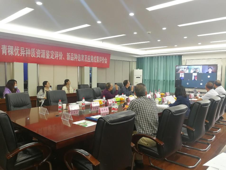 我校主持完成的“青藏高原青稞优异种质资源精准鉴定与创新利用”成