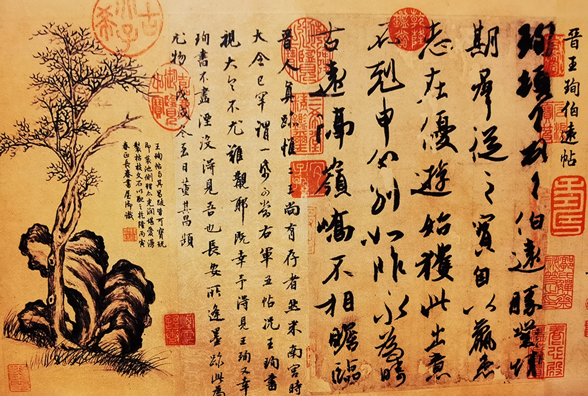 【新华社】华中农业大学举办《三希堂法帖》真品选展
