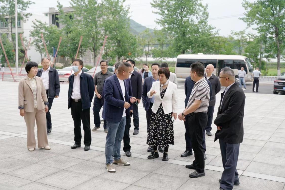 省政协副主席王红玲赴麦市镇调研乡村振兴工作