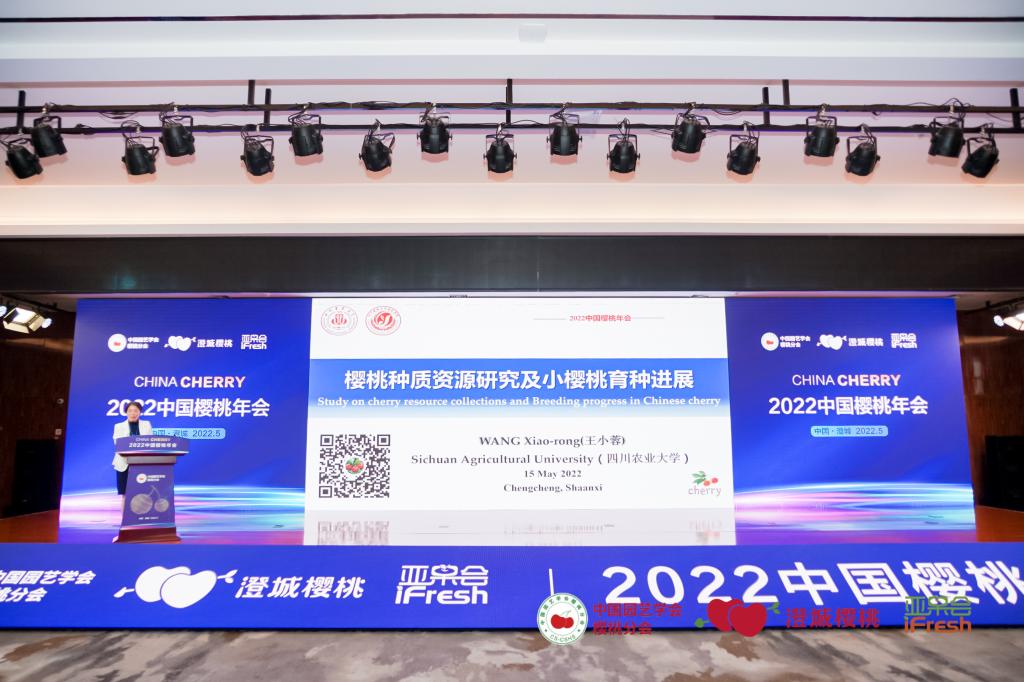 园艺学院教师参加2022中国樱桃年会并作报告