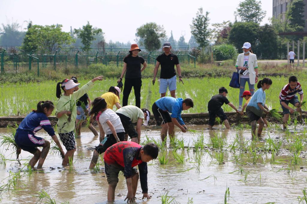 国家重点实验室举办科技开放日耕读活动
