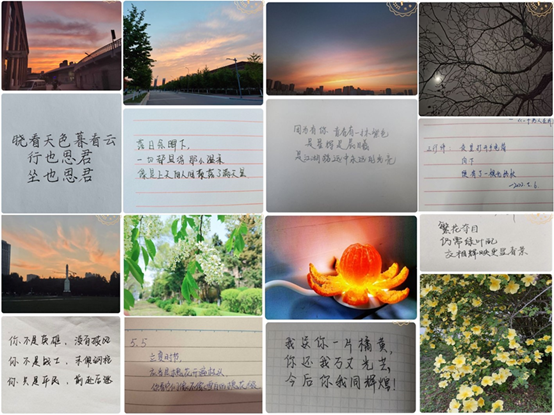 “挑战21天——遇见更好的自己”活动落幕