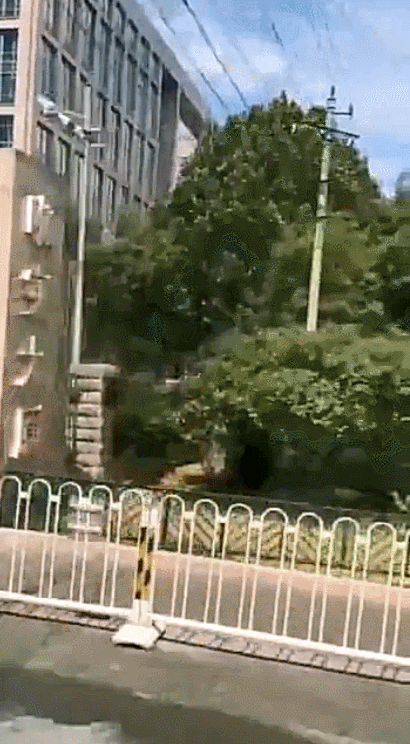 北航学子安全返家后第一时间报来平安点赞学校的暖心措施