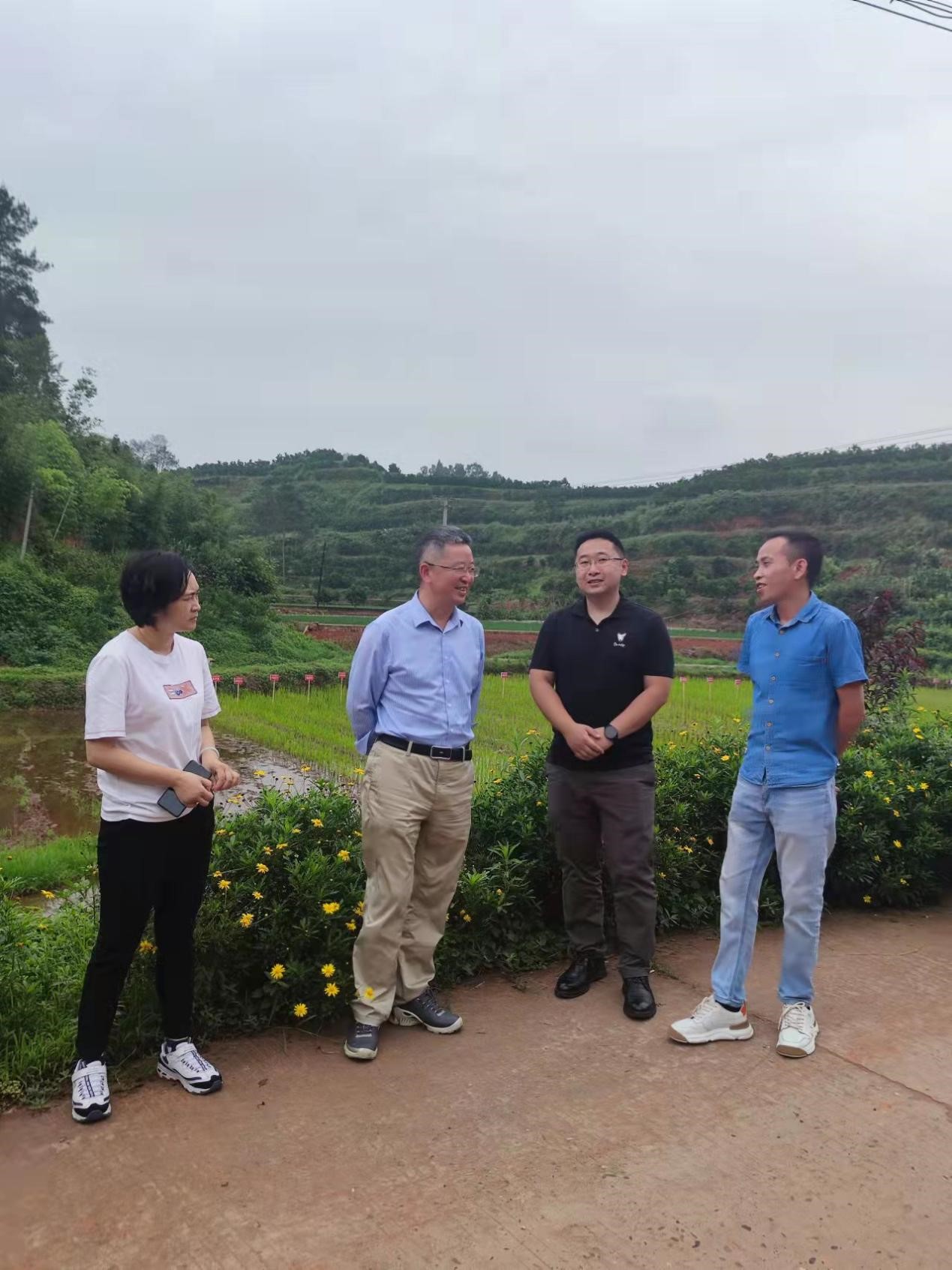 水稻所专家走进蜀西门户支持犍为水稻产业发展