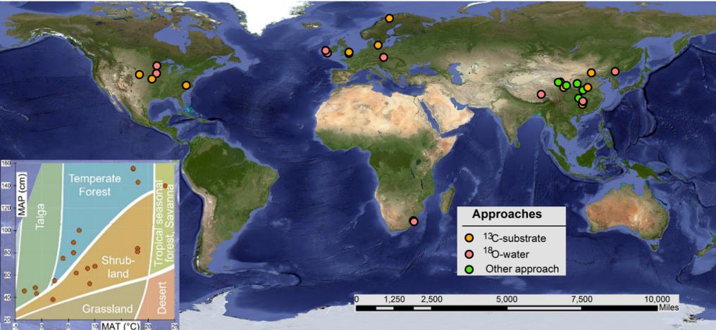 林学院在全球氮沉降背景下土壤微生物介导的碳循环过程研究中取得进