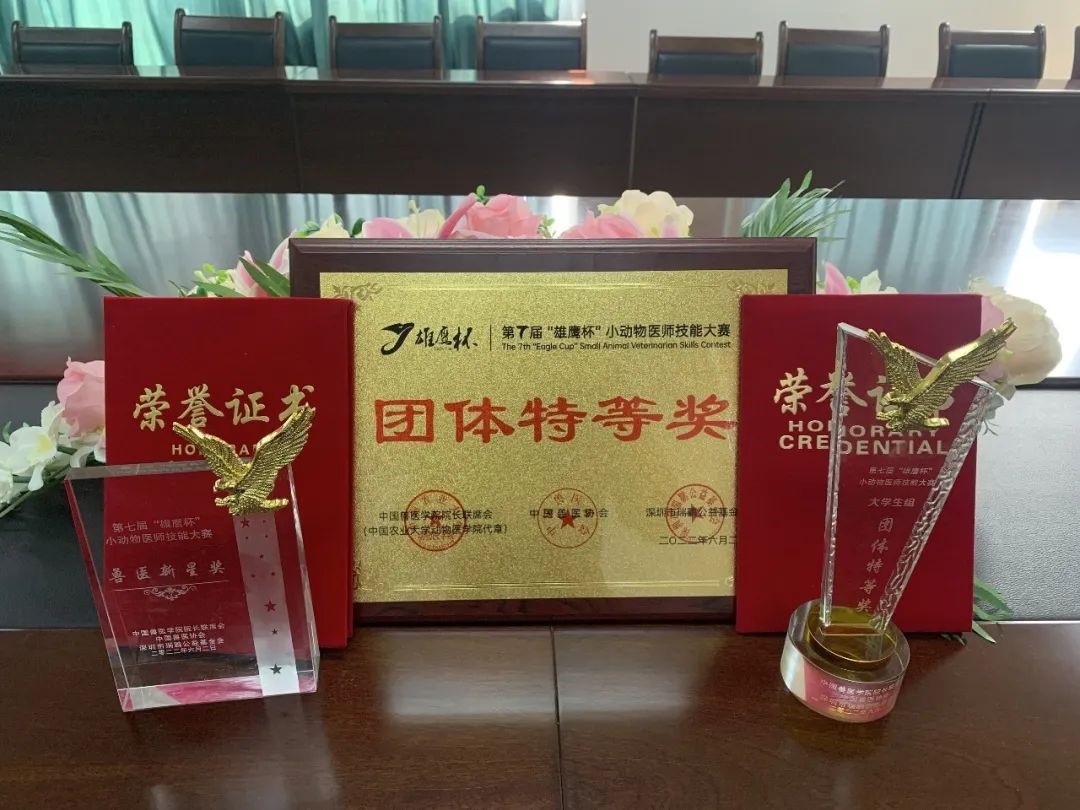 动医学子在全国小动物医师技能大赛中获团体特等奖