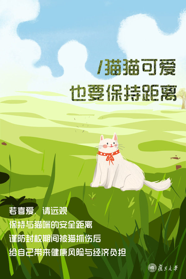 聚餐风险大！猫猫可爱，也要保持距离｜警示案例