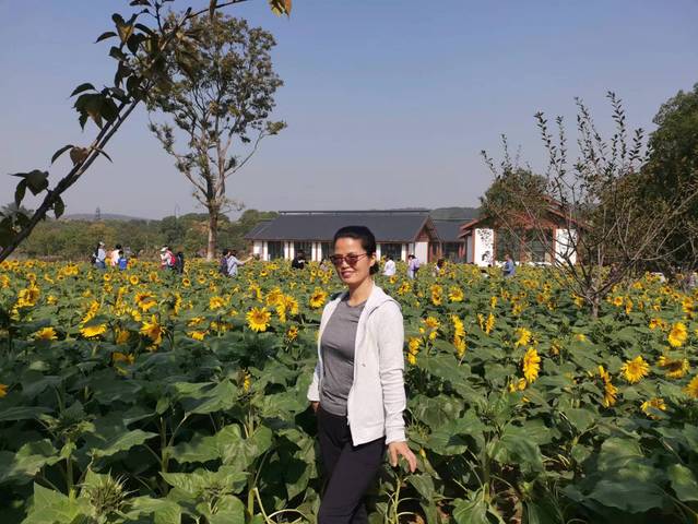 【最美机关人】袁芳敏：相信踏实与坚持的力量