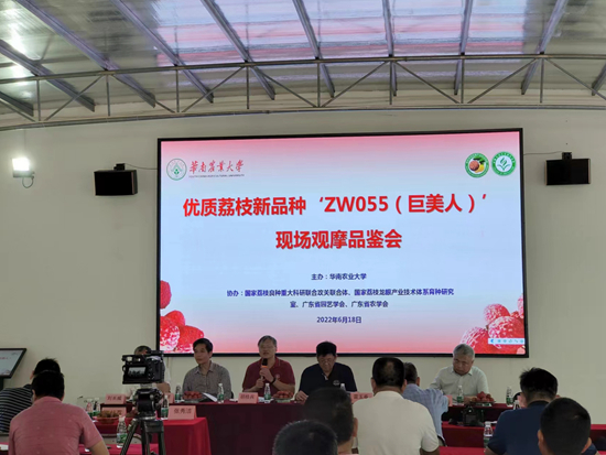 我校召开优质特大果荔枝新品种“巨美人”观摩品鉴会