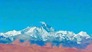 ​到祖国需要的地方去丨逐光而行行将致远