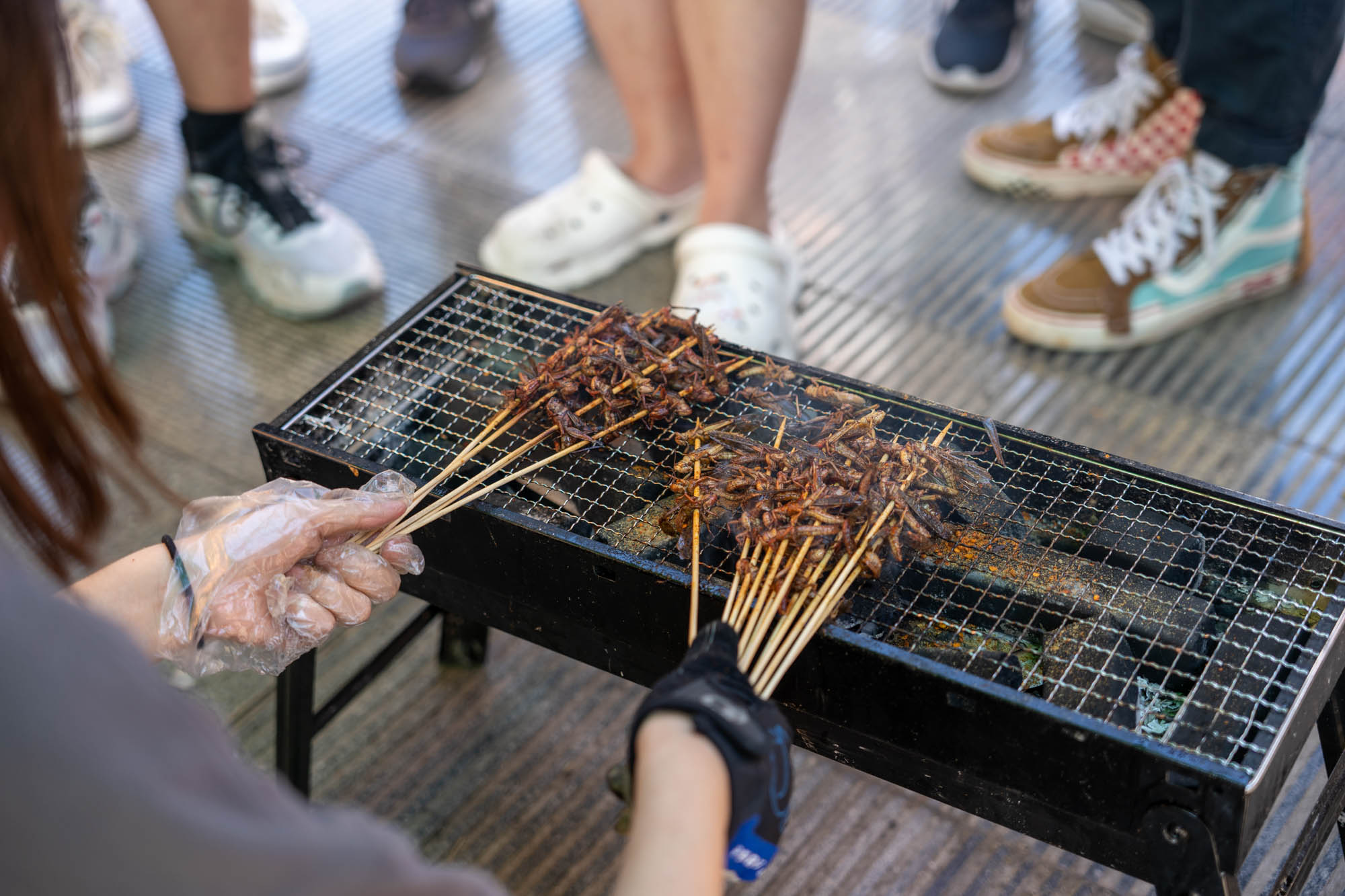 情飨师生，虫宴四方：我校举办第四届昆虫宴
