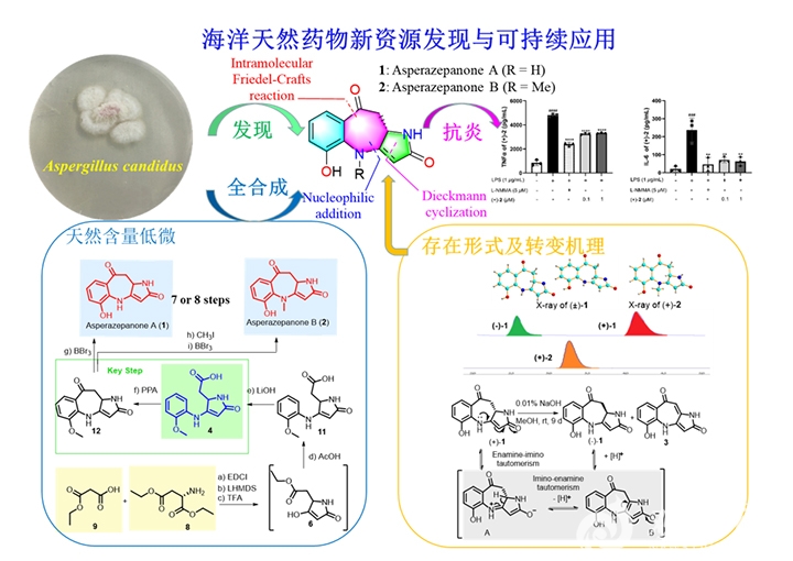 中国海洋大学在海洋天然药物新资源发现研究领域取得新进展