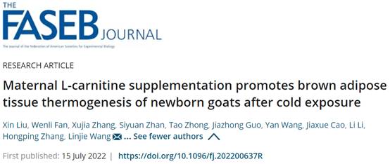 动科学院羊遗传育种团队在羔羊抗寒机制研究中取得新进展