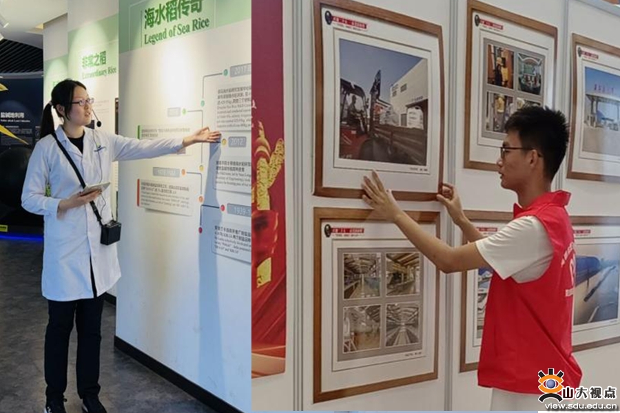​［社会实践］“青鸟计划”岗位实习暑期社会实践专项有序开展