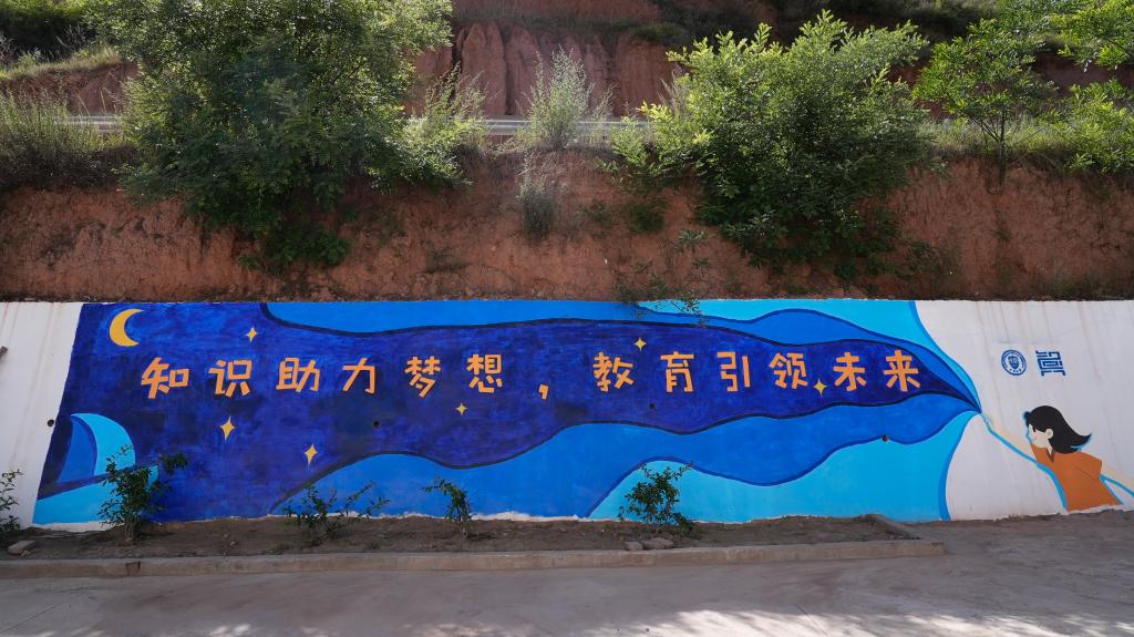 妙手丹青文化墙，天大学子打造高颜值美丽乡村