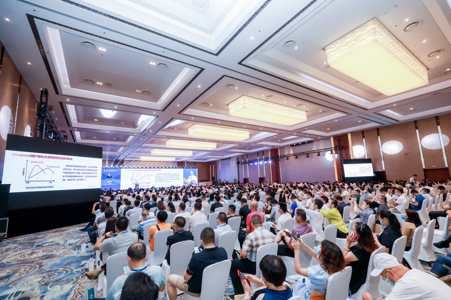 “千湖峰会生猪母仔一体化精准饲养技术高峰研讨会”在汉举行