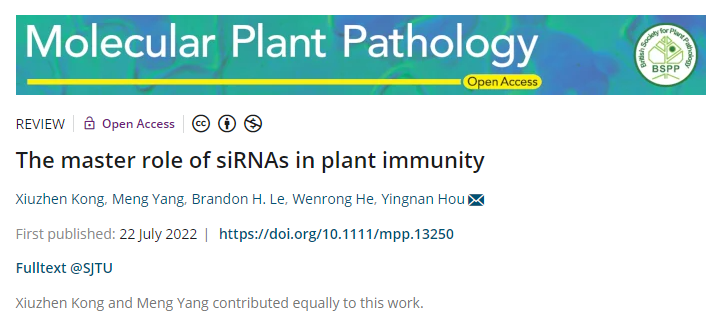 上海交大农生学院侯英楠课题组综述siRNA在植物免疫中的重要作用