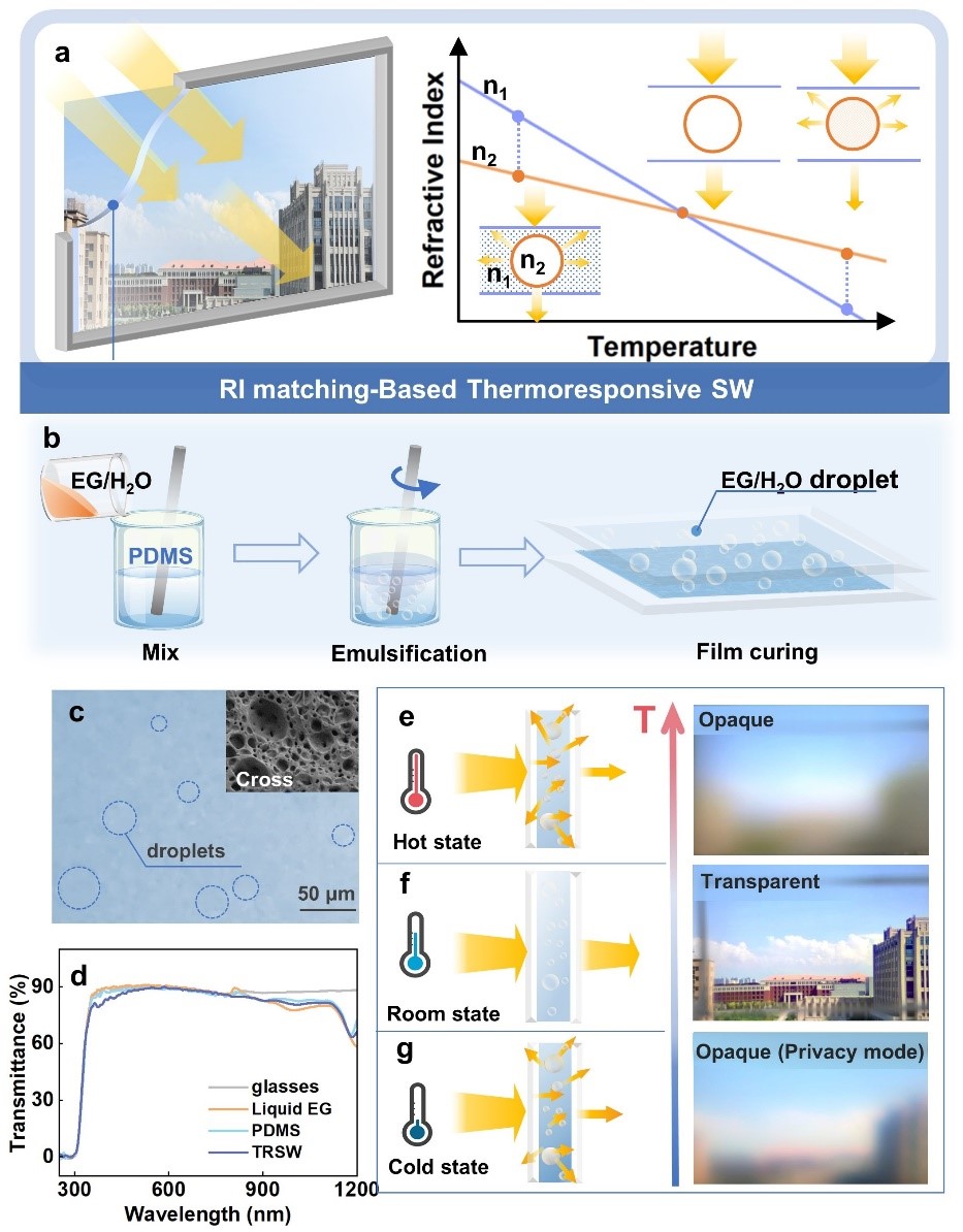 【科技自立自强】西安交大科研团队开发出具有高透明度双向热响应型柔性智能窗光学薄膜