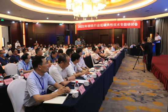 2022年钢铁行业低碳共性技术专题研讨会在东北大学举行