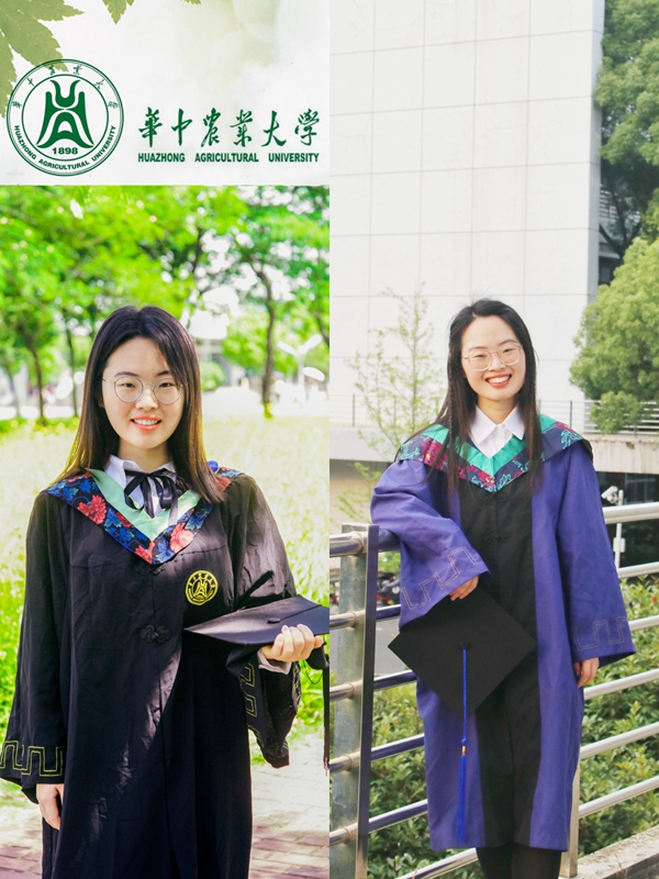【资助育人】资助如光，照亮求学之路