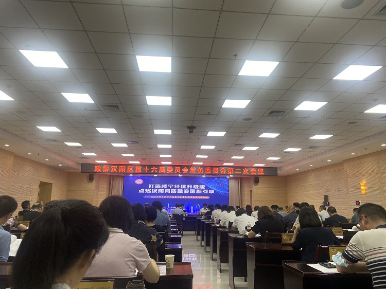 过文俊教授为汉阳区开出发展金融+楼宇“良方”