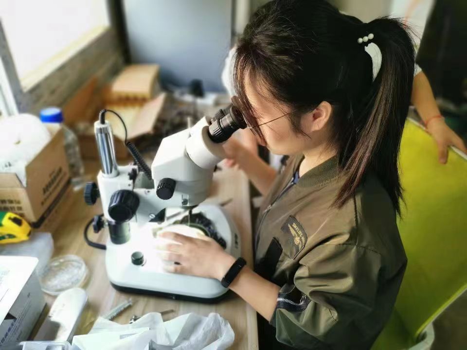 【资助育人】资助如光，照亮求学之路