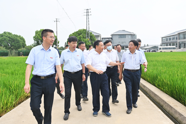 农业农村部部长唐仁健调研我校土桥水稻实验基地