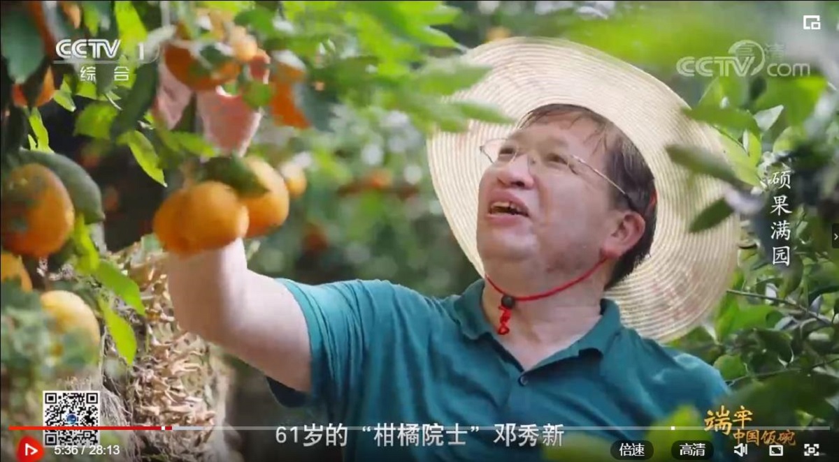 【中央电视台】《端牢中国饭碗》系列纪录片之《硕果满园》