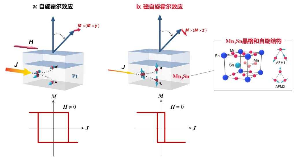 丘学鹏教授团队在《自然･通讯》发表拓扑反铁磁自旋电子器件新成果