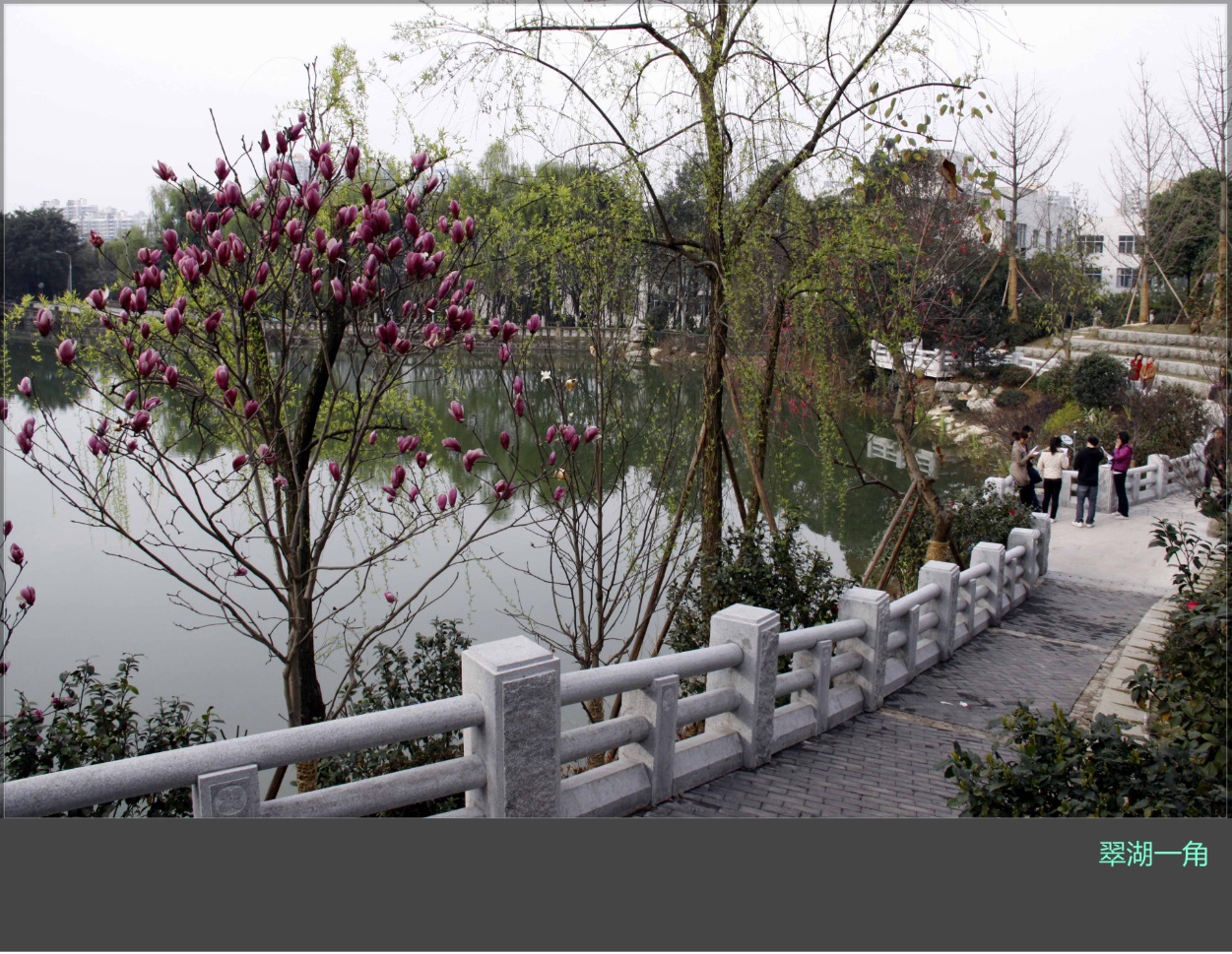 翠湖一角