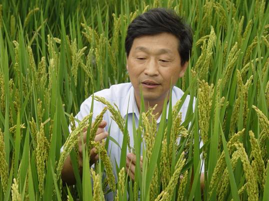 张洪程