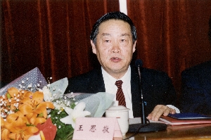 王思敬