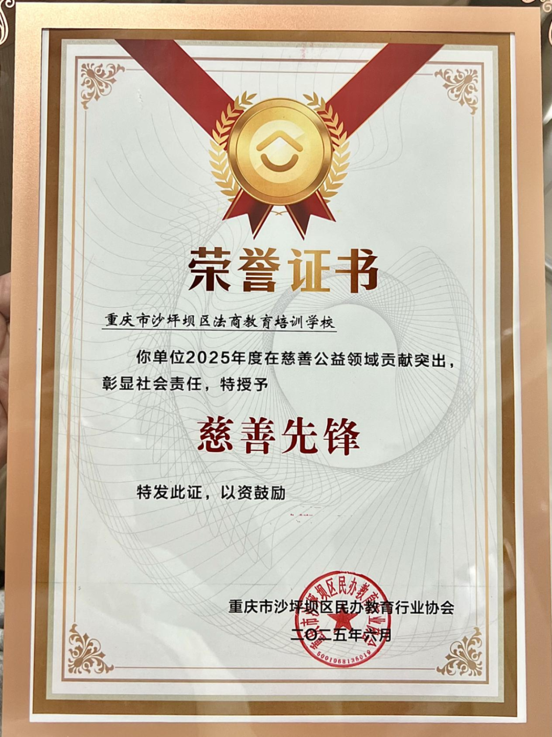 张波林校长荣任重庆市沙坪坝区民办教育行业协会副会长 法商学校获“慈善先锋”表彰