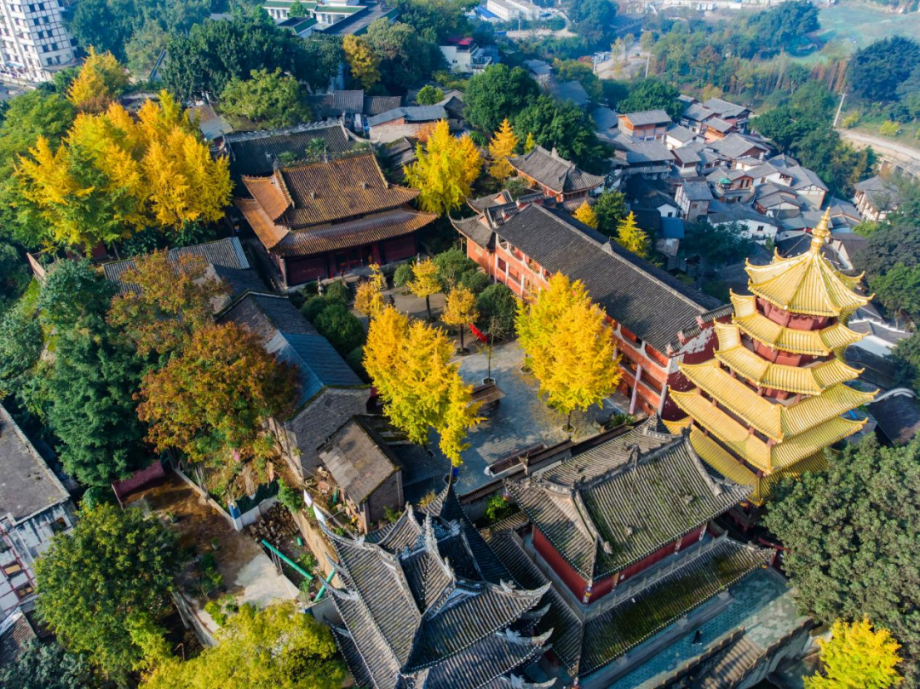 重庆法商教育培训学校与磁器口街道达成研学合作 解锁沉浸式研学新体验