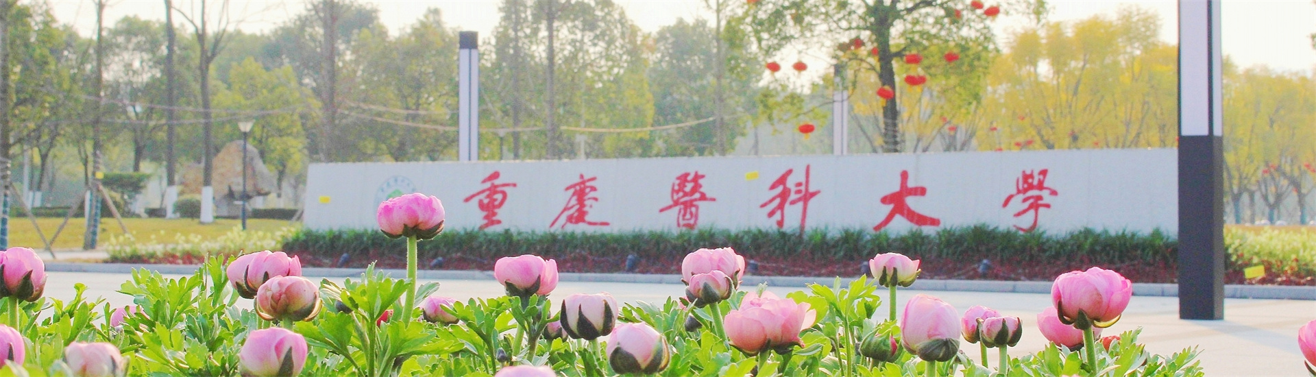 通知|重庆医科大学成人高等教育2026年上半年课程安排与考试计划