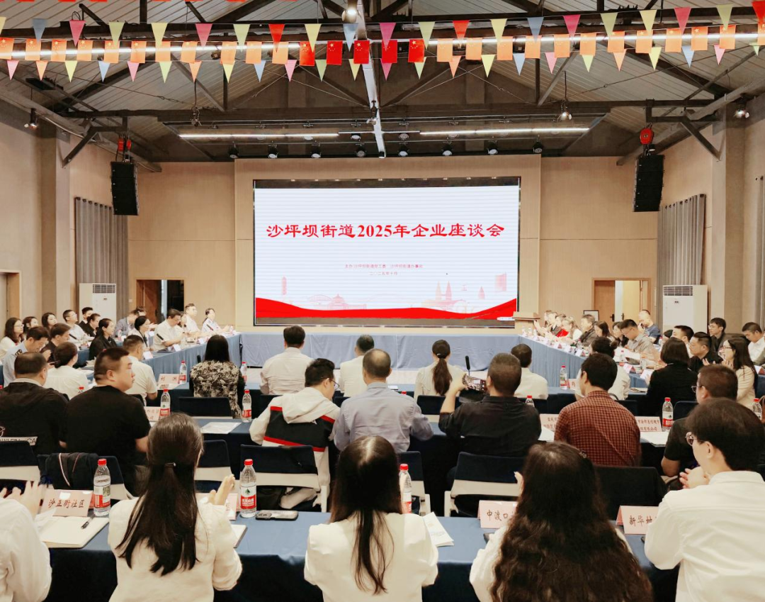 重庆市沙坪坝区法商教育培训学校