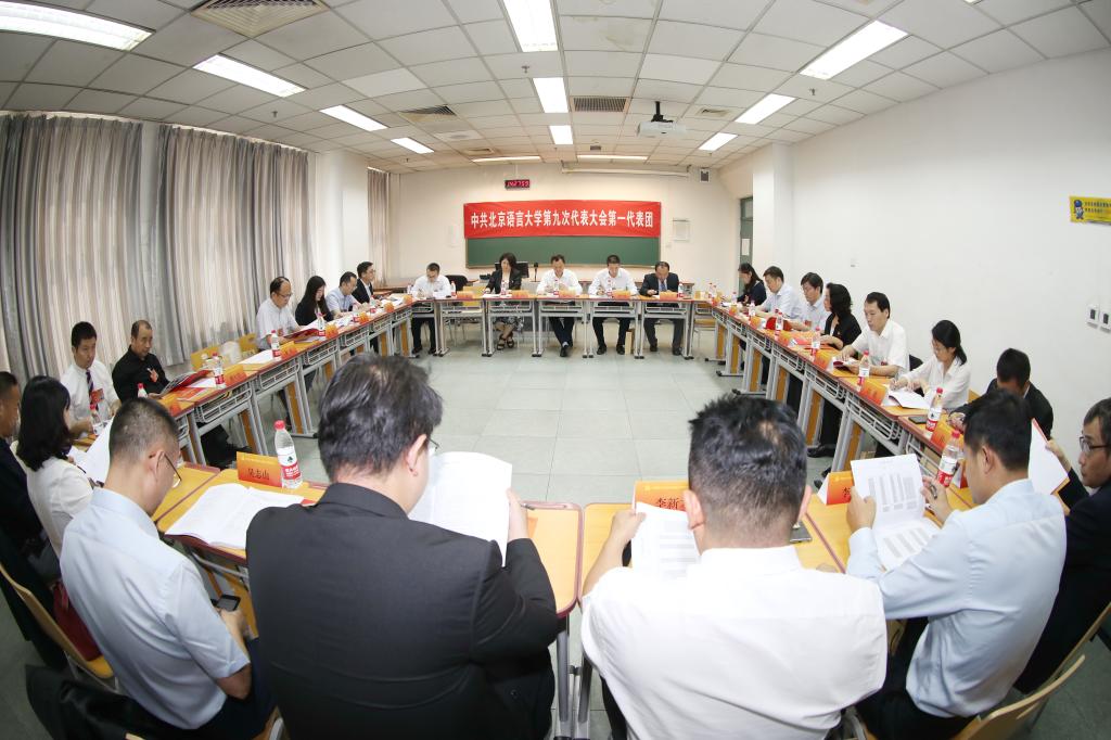 党代会进行时：各代表团第一次会议召开