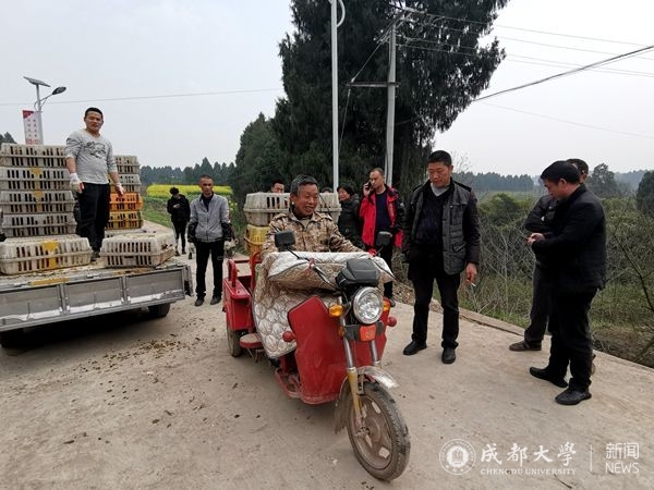 【扶贫路上】《简阳之声》报道我校帮扶民强村订单农业