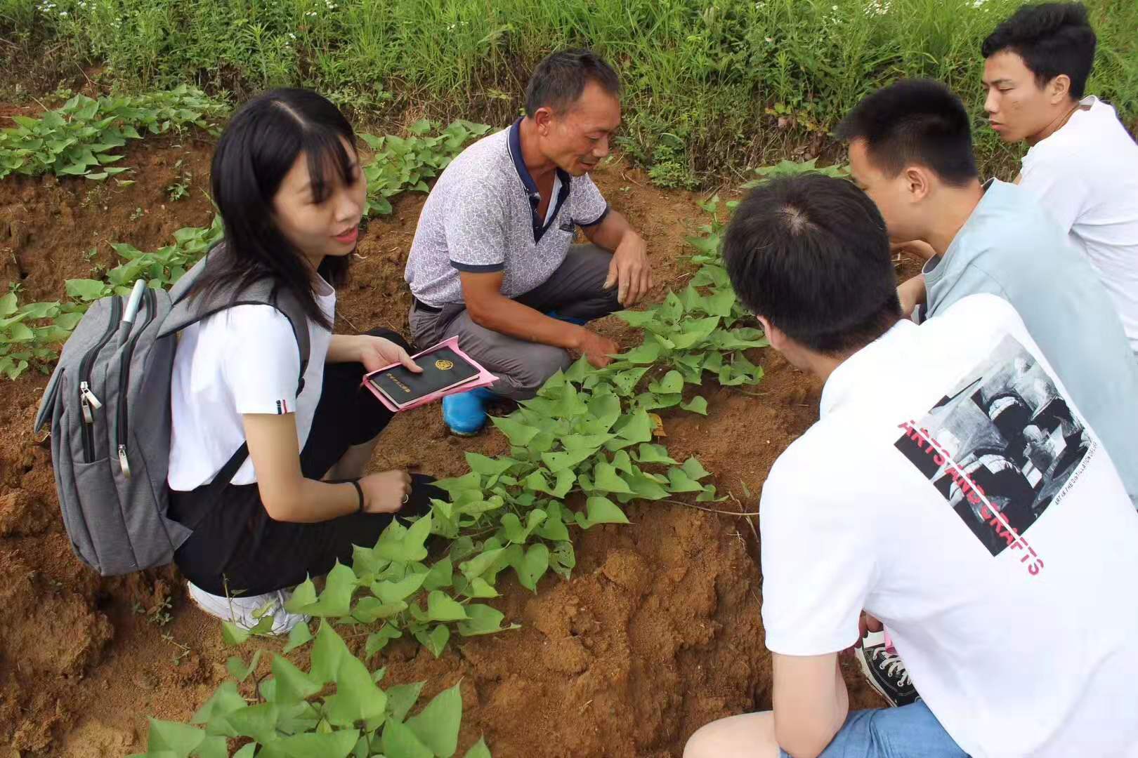 微信图片_20190714203801.jpg