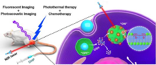 生命学院杨祥良李子福课题组在肿瘤微环境刺激可激活的诊疗一体化纳米药物方面取得新进展  