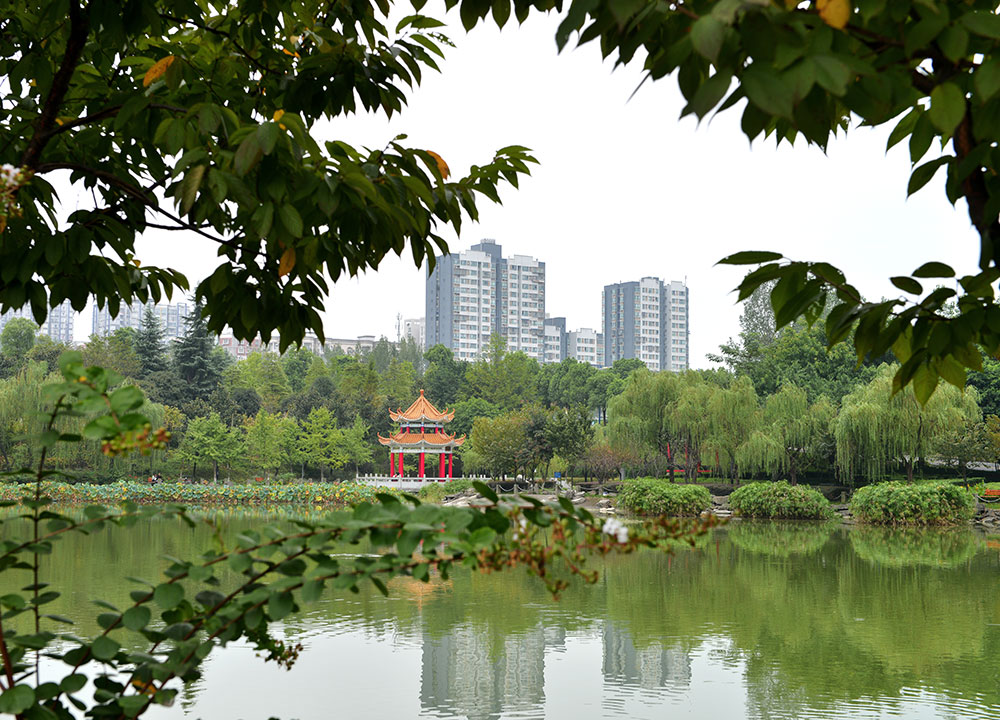 西南政法大学