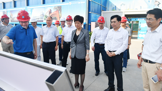 合肥市委副书记、市长凌云调研中德教育示范基地公共平台建设情况