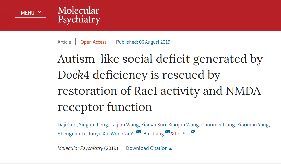 自闭症发病机制研究获新突破 我校药学院团队在精神病学顶级期刊Molecular Psychiatry发表论文