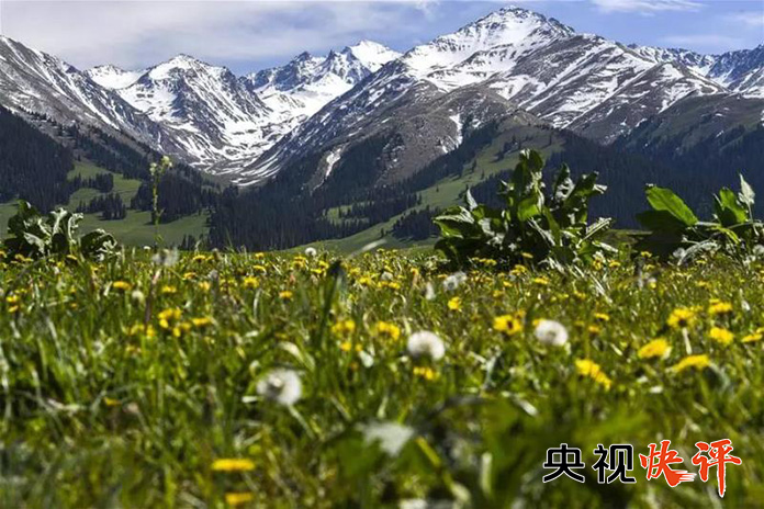 【央视快评】团结稳定是新疆繁荣发展之基