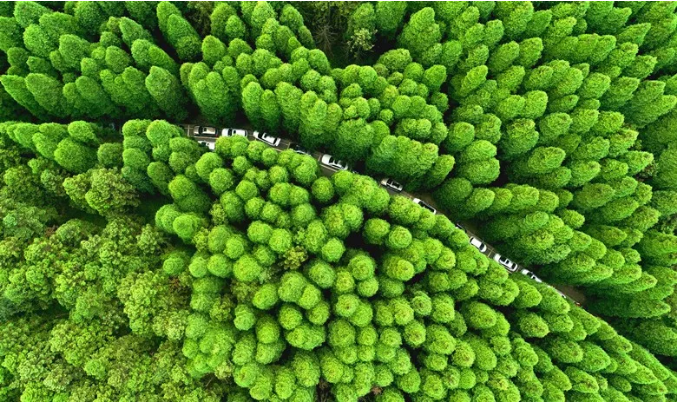 当好长江上游重要生态屏障最后关口的守望人山清水秀美丽重庆这一年