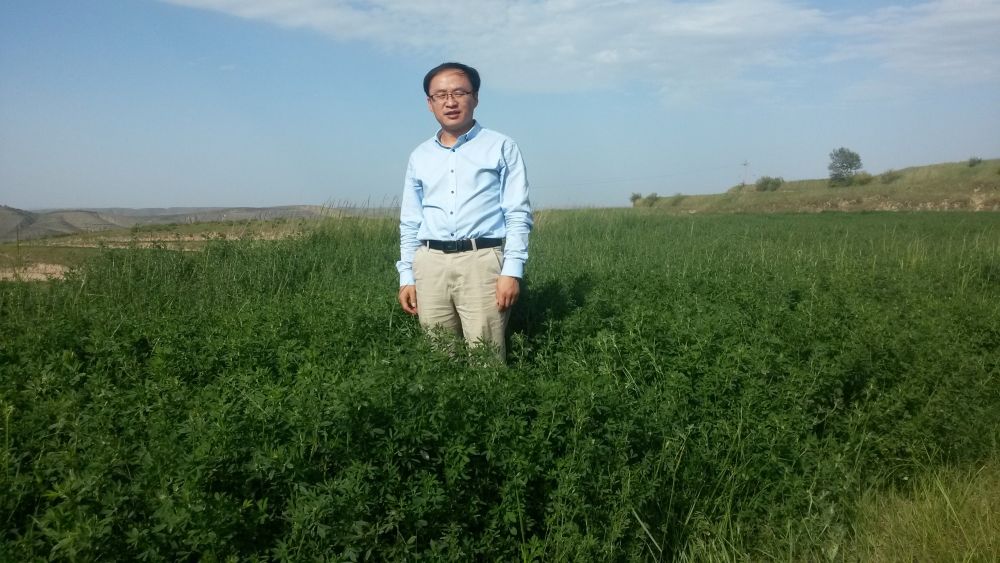 “草状元”郭旭生：小牧草成就大梦想