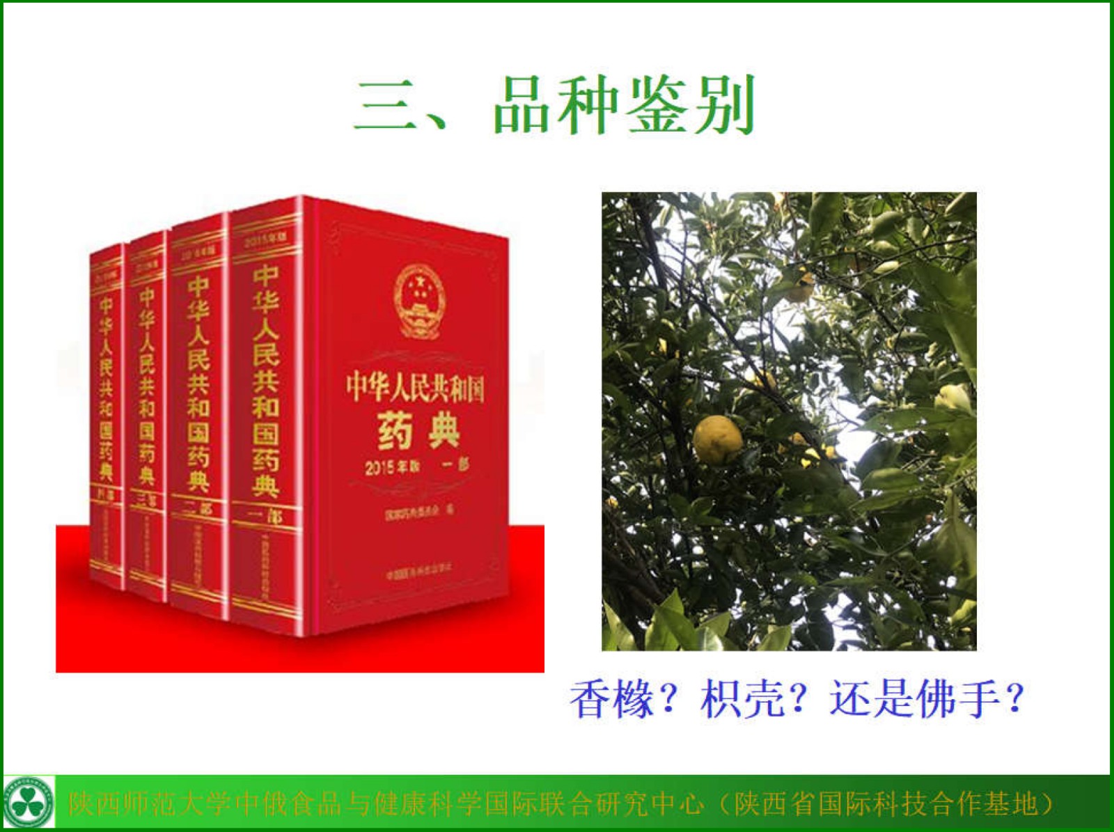 我校中俄食品与健康科学国际联合研究中心积极助力陕南企业开工复产