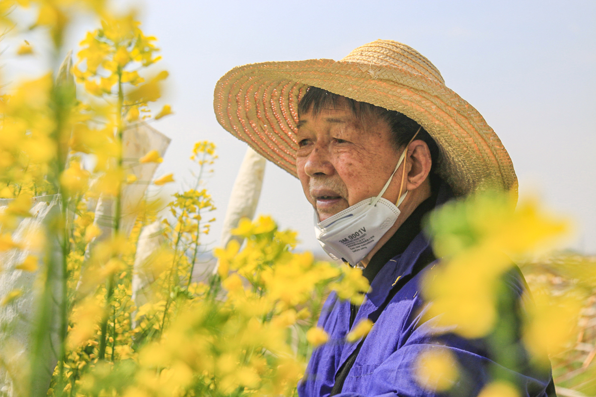 “云赏狮山春”走进油菜花海