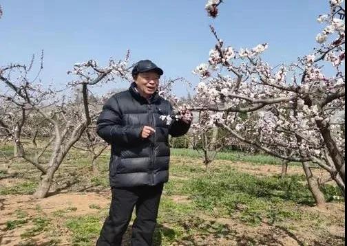 劳模父子的绿化荒山“友谊赛”